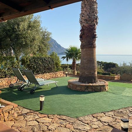 Il Bacio Del Sole Apartamento Tertenìa Exterior foto