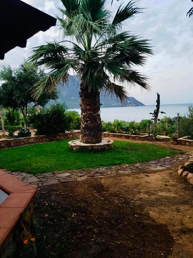 Il Bacio Del Sole Apartamento Tertenìa Exterior foto