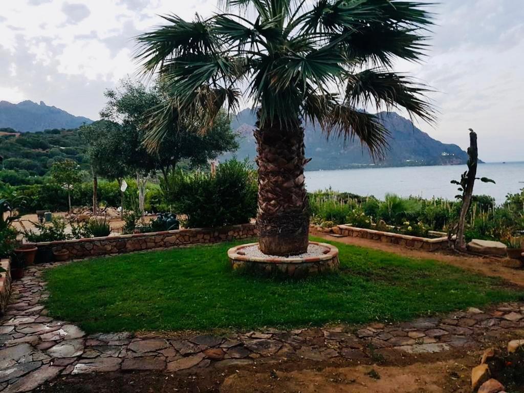 Il Bacio Del Sole Apartamento Tertenìa Exterior foto
